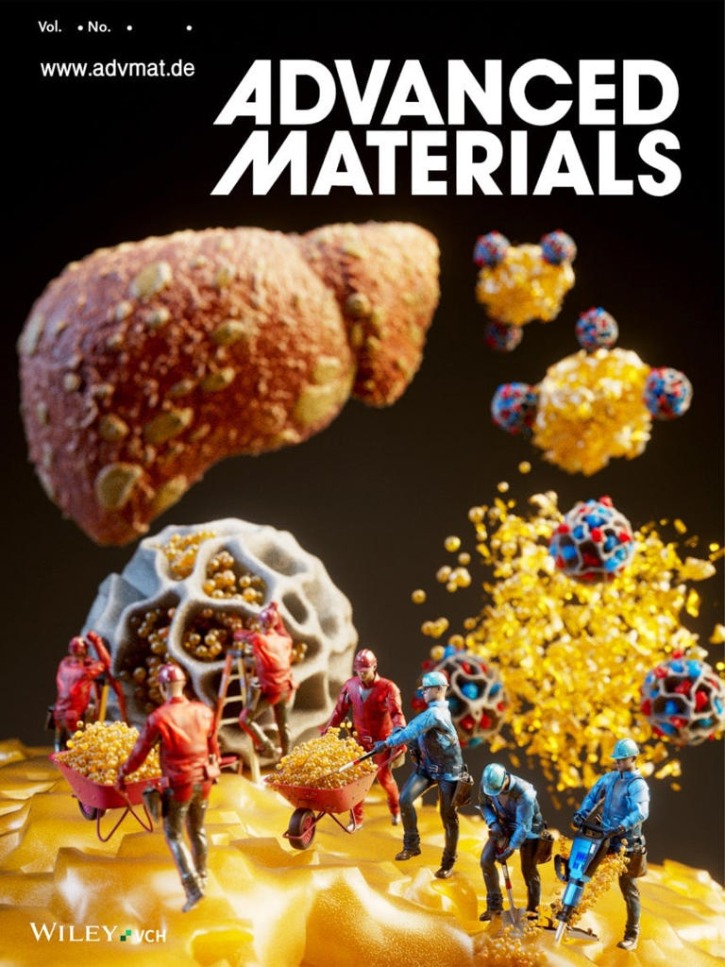 쌓인 지방간 직접 없앤다.jpg