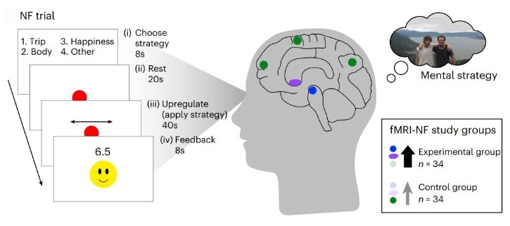뇌 훈련으로 면역 강화할 수 있다…백신 효과 향상 확인.jpg