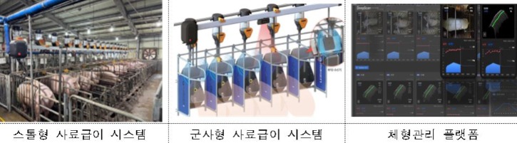 AI가 모돈 체형 측정‧분석‧사료 급여까지.jpg